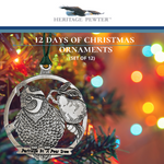 Ornaments, 12 days of christmas, Christmas